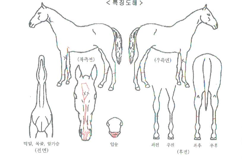 ��������Ÿ�� ����,���,�޸�,�λ�,�ٸ��� Ư¡����