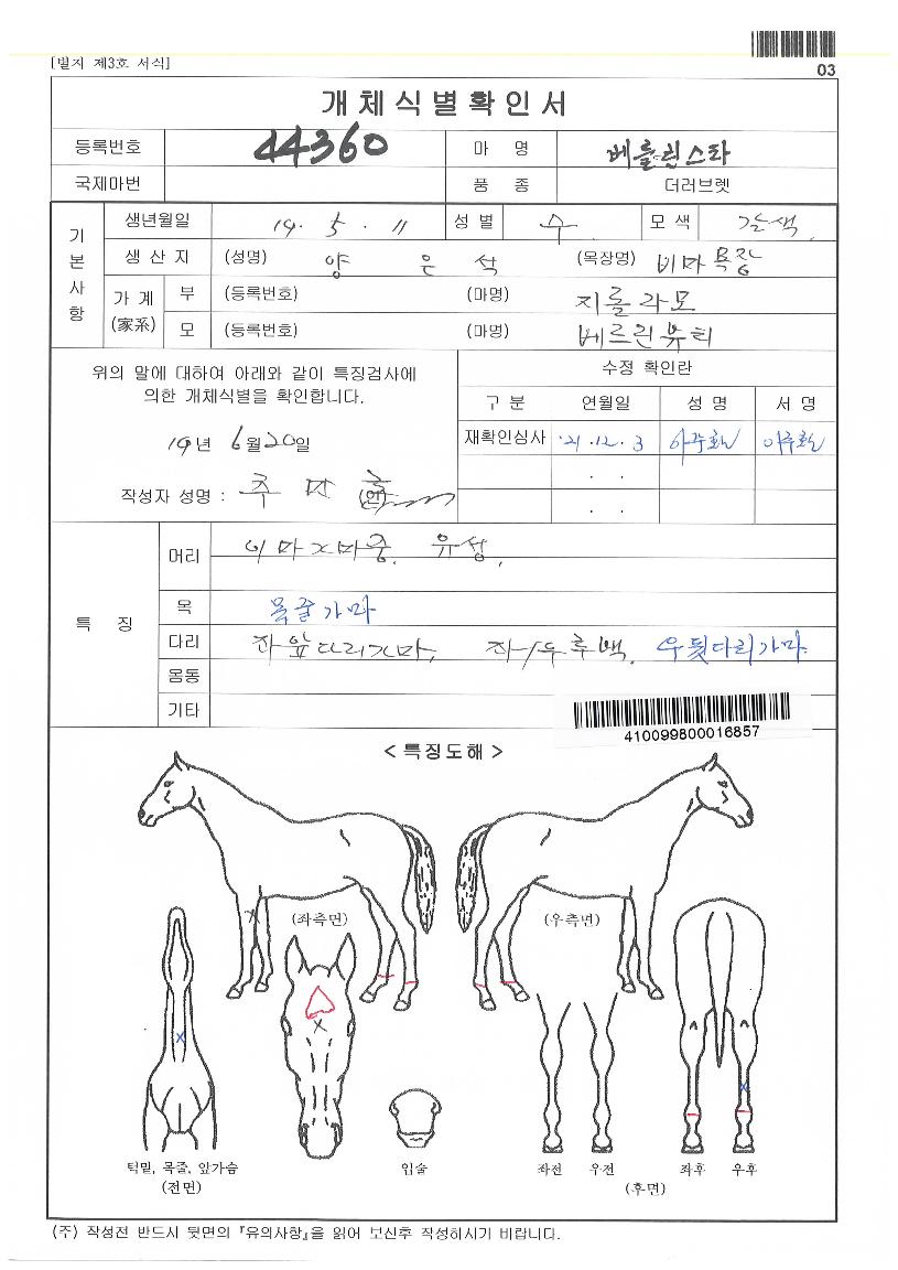 º£¸¦¸°½ºÅ¸ÀÇ Ãø¸é,¿ì¸é,µÞ¸é,µÎ»ó,´Ù¸®ÀÇ Æ¯Â¡µµÇØ