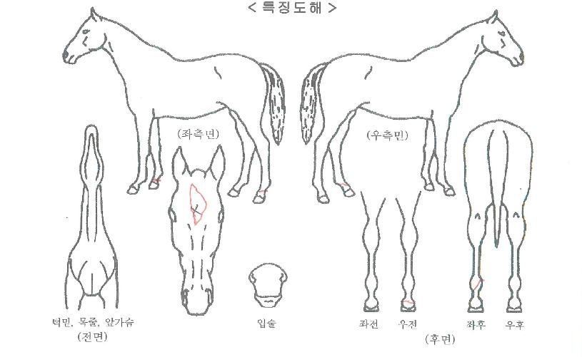 ��õ�ַ��̿��� ����,���,�޸�,�λ�,�ٸ��� Ư¡����