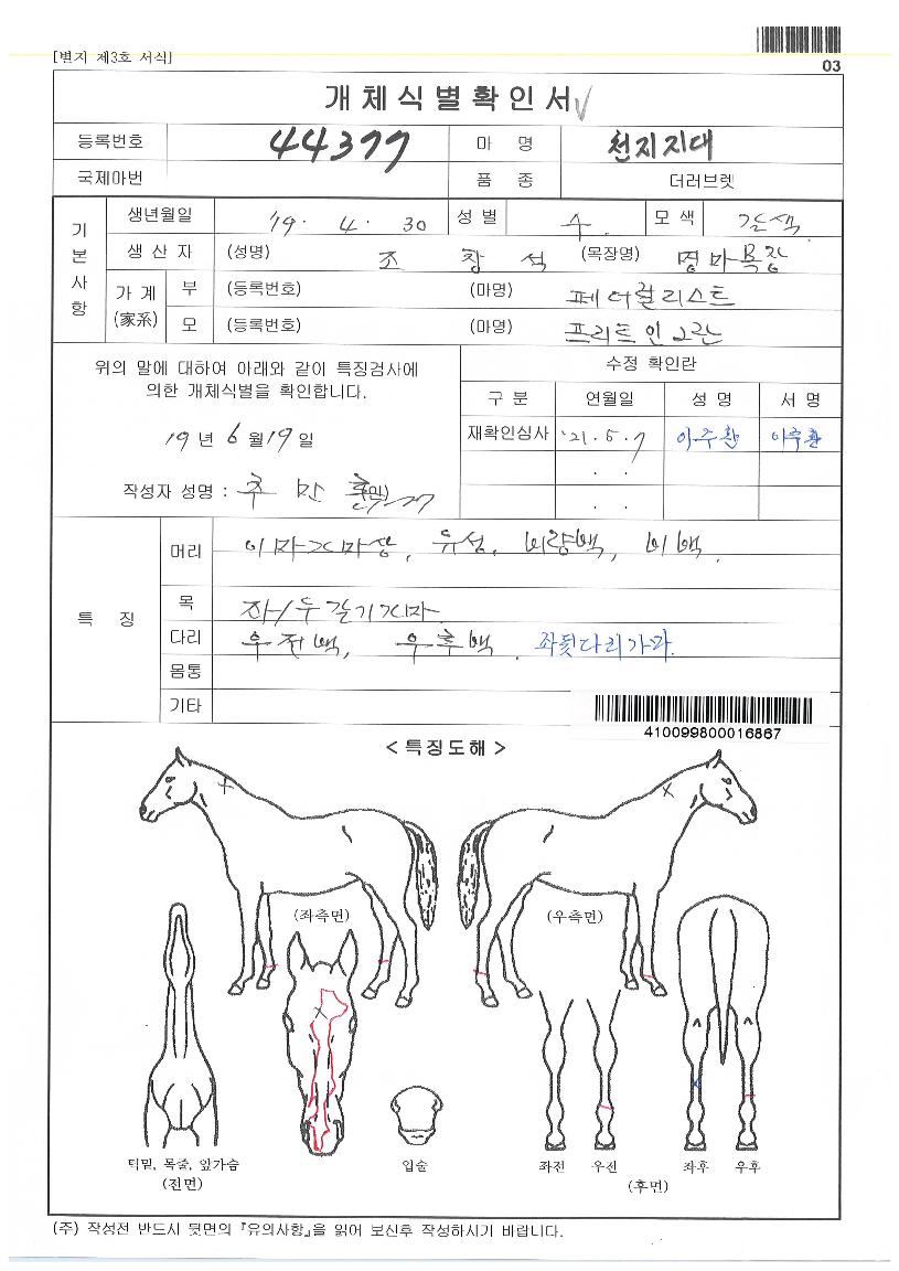 õÁöÁö´ëÀÇ Ãø¸é,¿ì¸é,µÞ¸é,µÎ»ó,´Ù¸®ÀÇ Æ¯Â¡µµÇØ