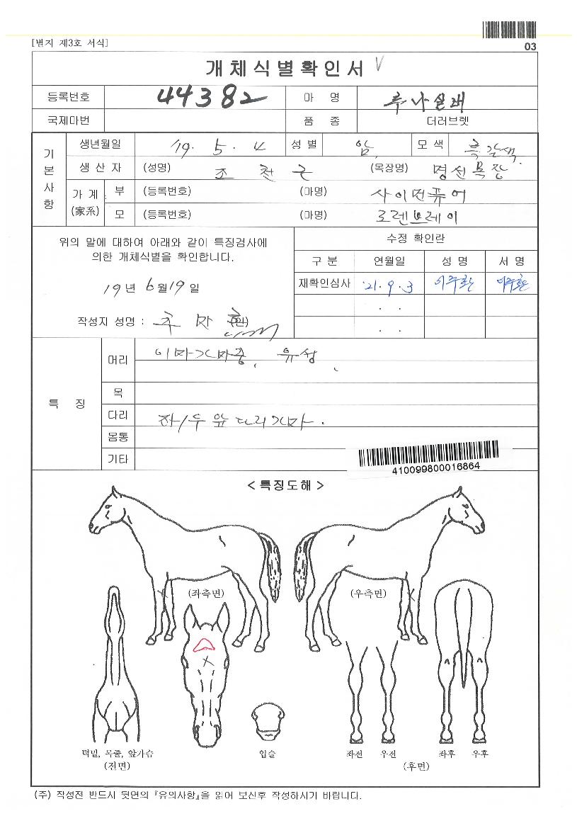 �糪�ǹ��� ����,���,�޸�,�λ�,�ٸ��� Ư¡����