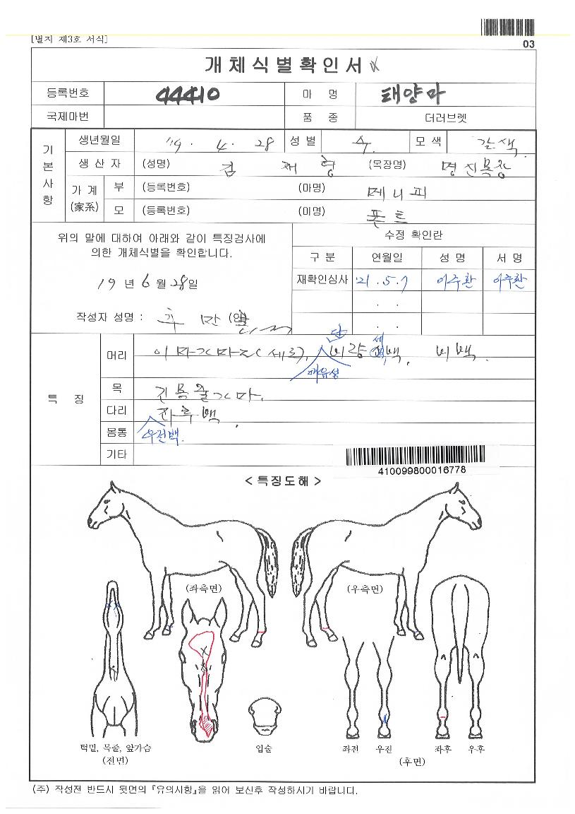 ž縶ÀÇ Ãø¸é,¿ì¸é,µÞ¸é,µÎ»ó,´Ù¸®ÀÇ Æ¯Â¡µµÇØ