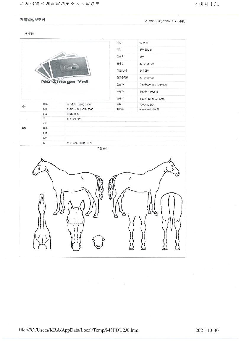 �ູ���Ծ��� ����,���,�޸�,�λ�,�ٸ��� Ư¡����