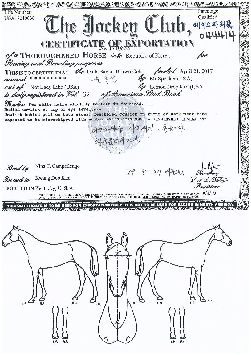 ¿¡À̽ºÆÄ¿öÇ®ÀÇ Ãø¸é,¿ì¸é,µÞ¸é,µÎ»ó,´Ù¸®ÀÇ Æ¯Â¡µµÇØ