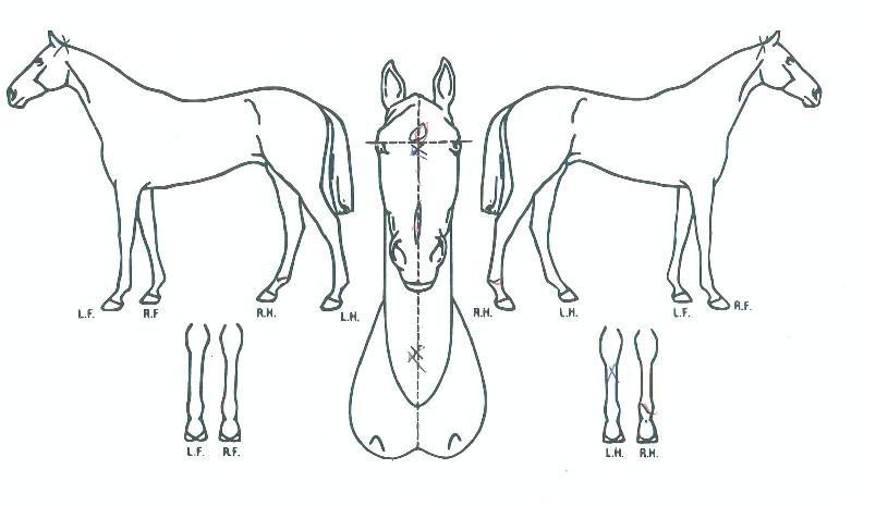 ���̽��������� ����,���,�޸�,�λ�,�ٸ��� Ư¡����