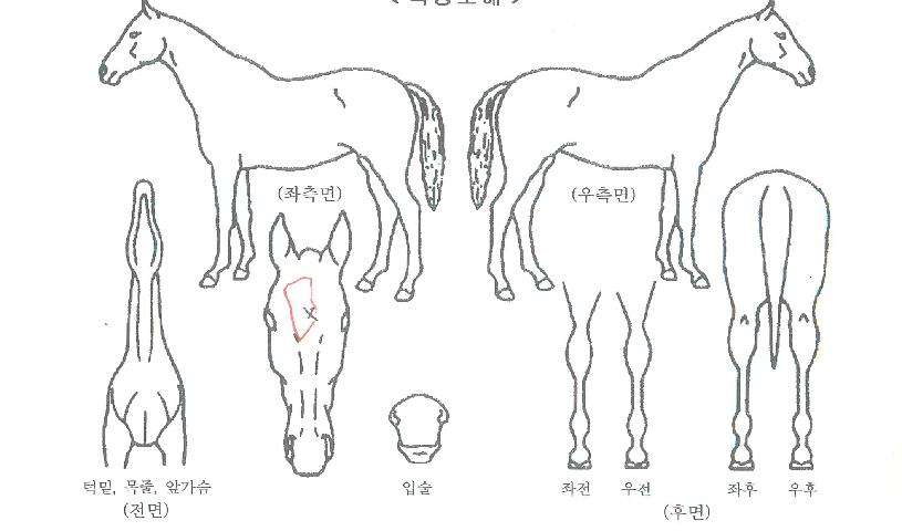 �������� ����,���,�޸�,�λ�,�ٸ��� Ư¡����