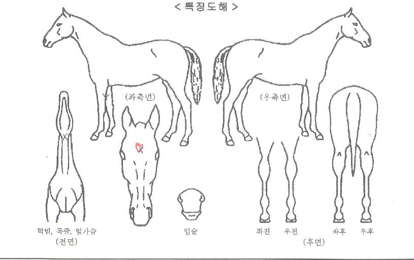 ü������ ����,���,�޸�,�λ�,�ٸ��� Ư¡����