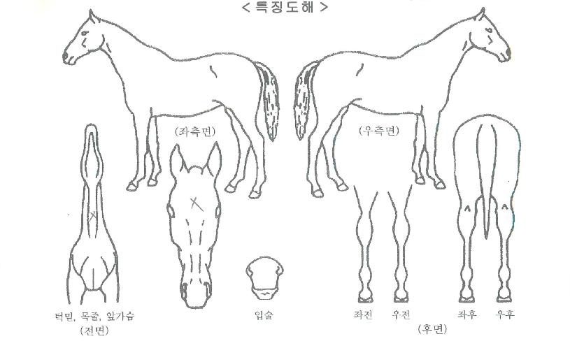 �������� ����,���,�޸�,�λ�,�ٸ��� Ư¡����