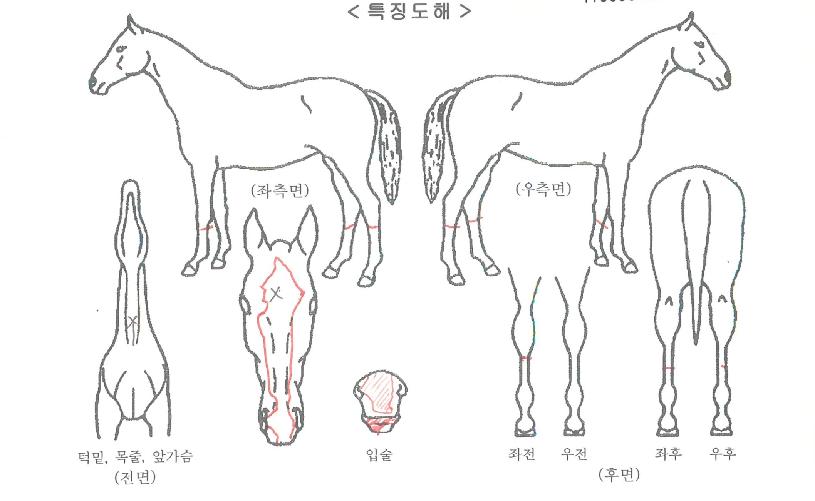 ����������� ����,���,�޸�,�λ�,�ٸ��� Ư¡����