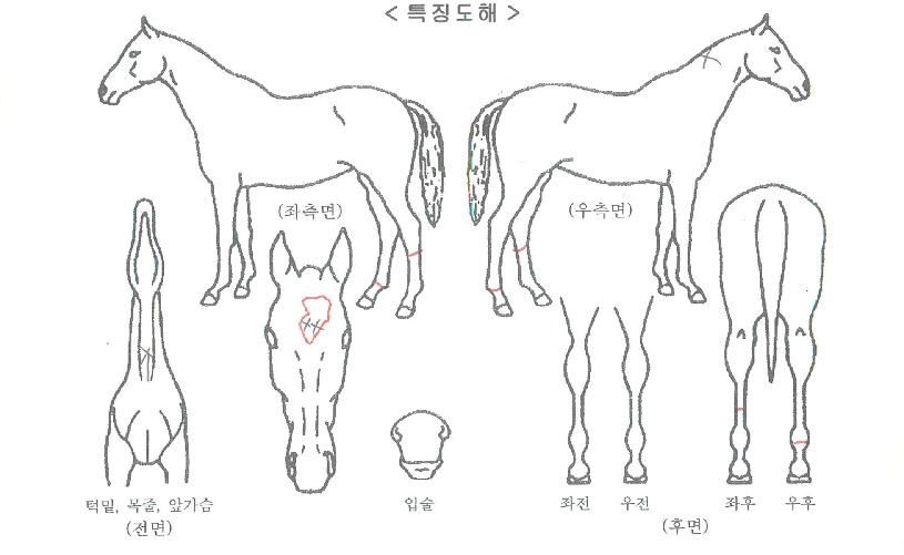 �׷���ŷ�� ����,���,�޸�,�λ�,�ٸ��� Ư¡����