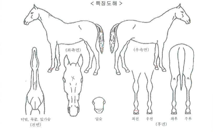 �����ʵ��ڸ��� ����,���,�޸�,�λ�,�ٸ��� Ư¡����