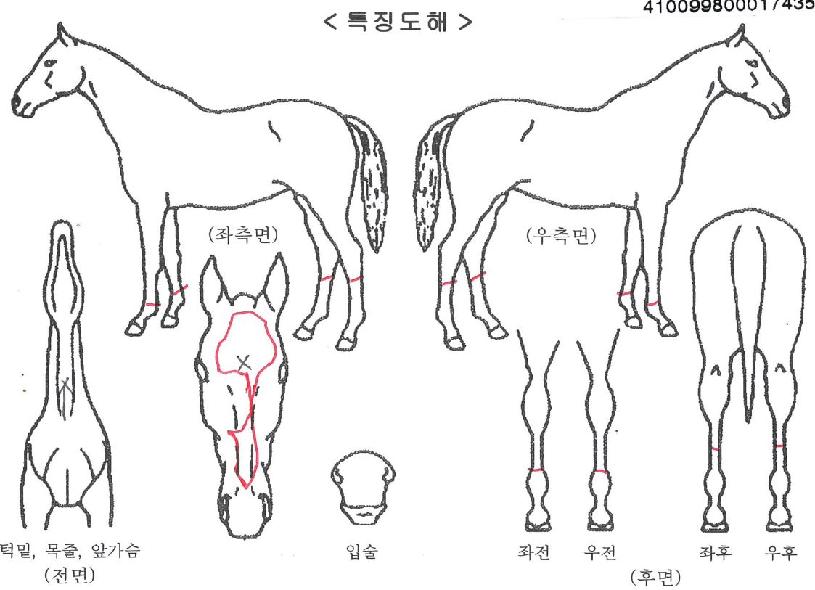°¡¿ÂÇ÷¡±×ÀÇ Ãø¸é,¿ì¸é,µÞ¸é,µÎ»ó,´Ù¸®ÀÇ Æ¯Â¡µµÇØ