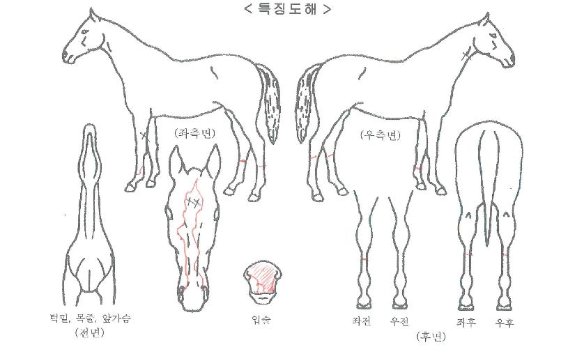 ���̽������� ����,���,�޸�,�λ�,�ٸ��� Ư¡����