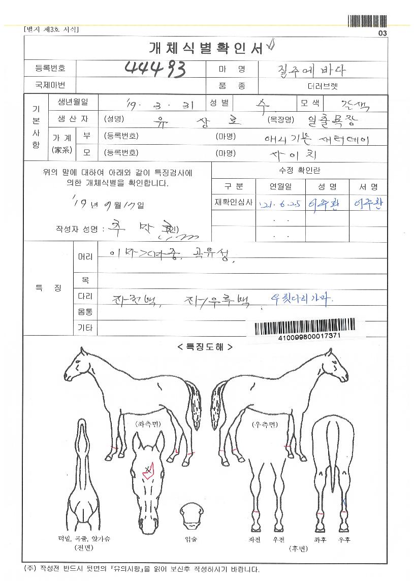 ���ֿ��ٴ��� ����,���,�޸�,�λ�,�ٸ��� Ư¡����