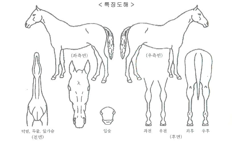 ������Ÿ�ڸ��� ����,���,�޸�,�λ�,�ٸ��� Ư¡����