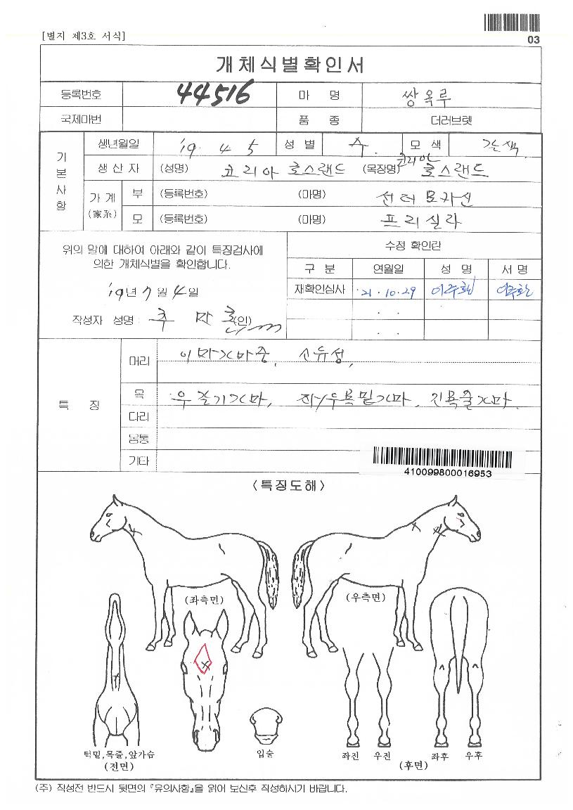 ½Ö¿Á·çÀÇ Ãø¸é,¿ì¸é,µÞ¸é,µÎ»ó,´Ù¸®ÀÇ Æ¯Â¡µµÇØ