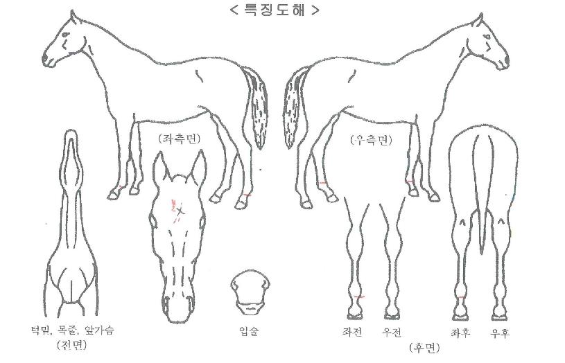 ��º����� ����,���,�޸�,�λ�,�ٸ��� Ư¡����