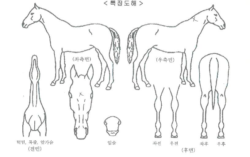 ¼±´õŬ¶ó¿ìµåÀÇ Ãø¸é,¿ì¸é,µÞ¸é,µÎ»ó,´Ù¸®ÀÇ Æ¯Â¡µµÇØ