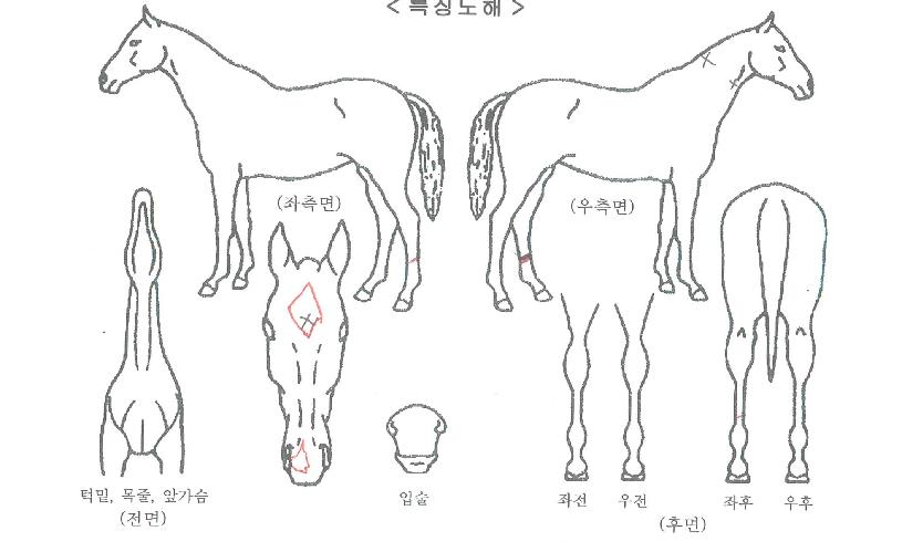 Ʃ���ڸ��� ����,���,�޸�,�λ�,�ٸ��� Ư¡����