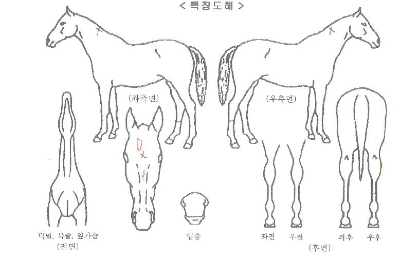 �߻�ȭ�� ����,���,�޸�,�λ�,�ٸ��� Ư¡����