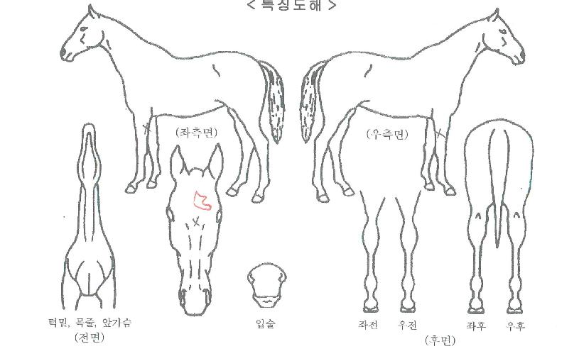 ���ķ���� ����,���,�޸�,�λ�,�ٸ��� Ư¡����