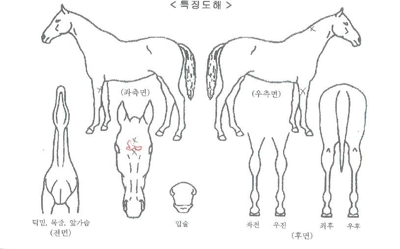 ���������� ����,���,�޸�,�λ�,�ٸ��� Ư¡����