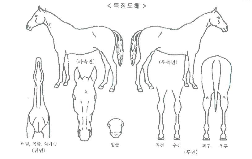 �������� ����,���,�޸�,�λ�,�ٸ��� Ư¡����