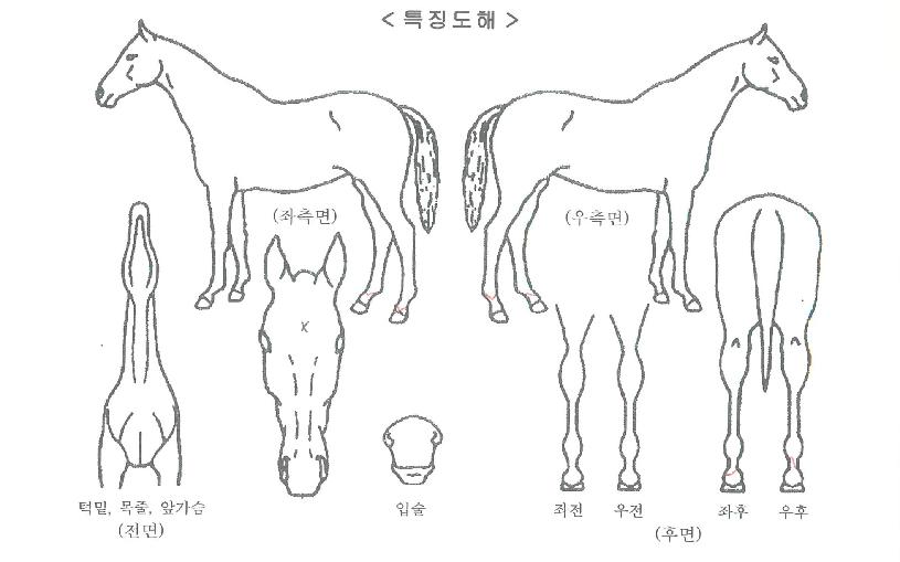 �������� ����,���,�޸�,�λ�,�ٸ��� Ư¡����