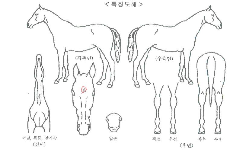 �Ŀ��������� ����,���,�޸�,�λ�,�ٸ��� Ư¡����