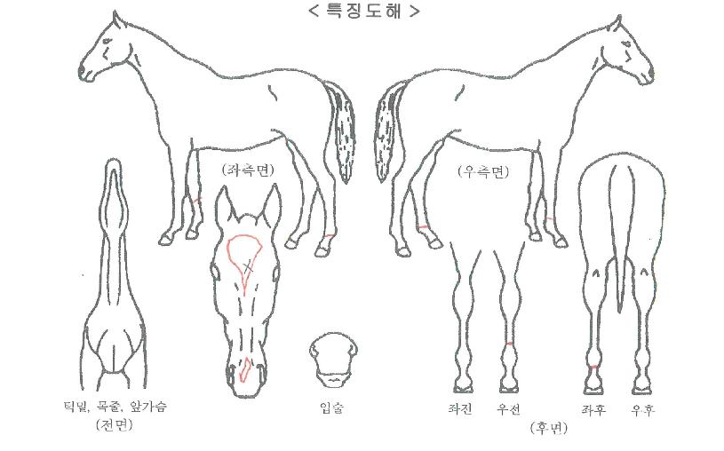 ũ������� ����,���,�޸�,�λ�,�ٸ��� Ư¡����