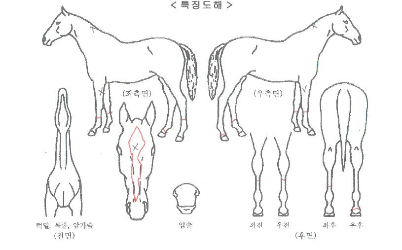 ������ġ���� ����,���,�޸�,�λ�,�ٸ��� Ư¡����