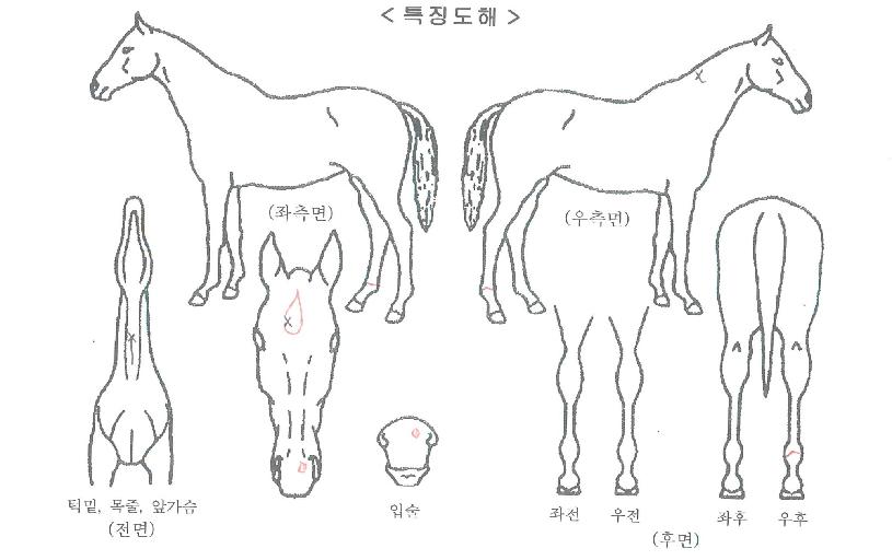 �������� ����,���,�޸�,�λ�,�ٸ��� Ư¡����