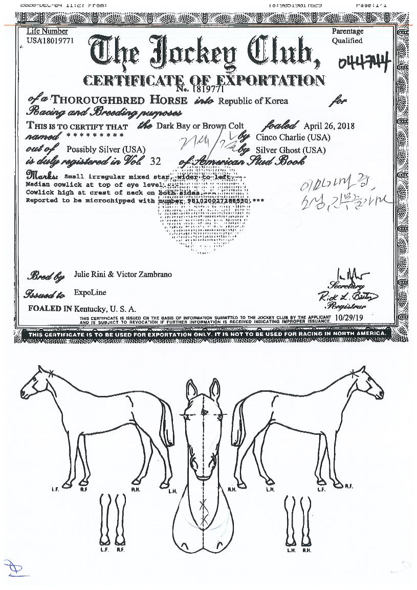 �������� ����,���,�޸�,�λ�,�ٸ��� Ư¡����