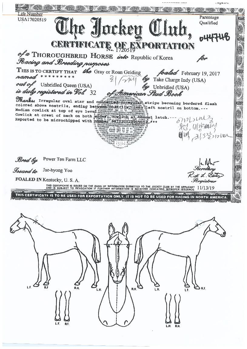 ±Ý¾Æ´ÏÇÇÀÇ Ãø¸é,¿ì¸é,µÞ¸é,µÎ»ó,´Ù¸®ÀÇ Æ¯Â¡µµÇØ