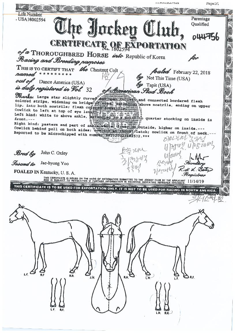 ���ʽ�Ÿ���� ����,���,�޸�,�λ�,�ٸ��� Ư¡����