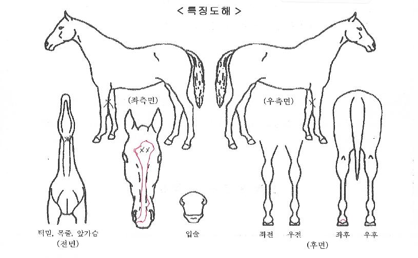 ��ƺ������� ����,���,�޸�,�λ�,�ٸ��� Ư¡����