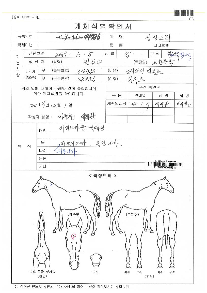 ���Ÿ�� ����,���,�޸�,�λ�,�ٸ��� Ư¡����