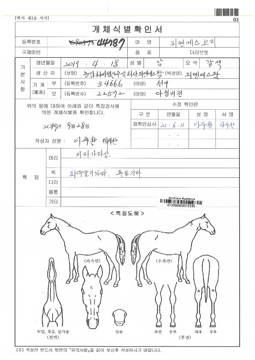 �ǿ����������� ����,���,�޸�,�λ�,�ٸ��� Ư¡����