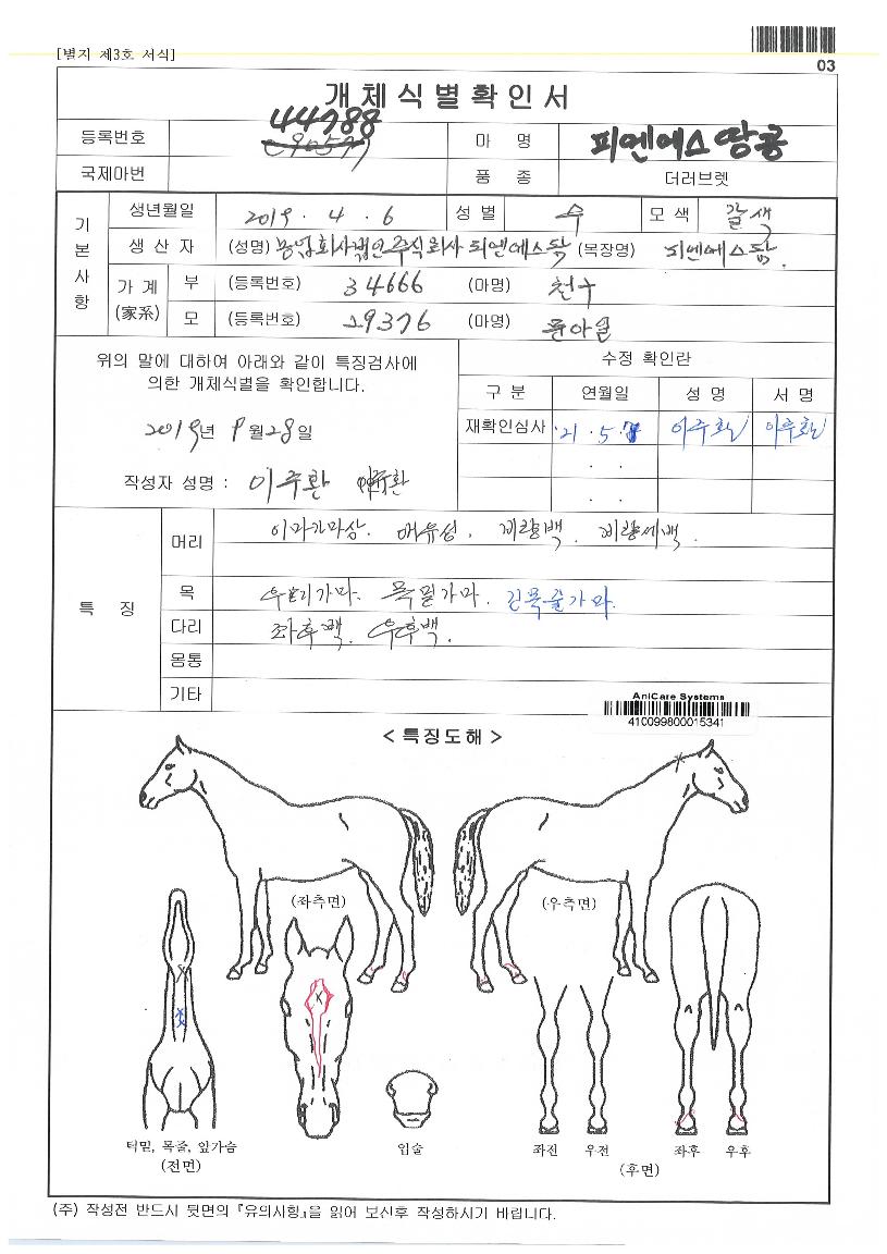 �ǿ����������� ����,���,�޸�,�λ�,�ٸ��� Ư¡����