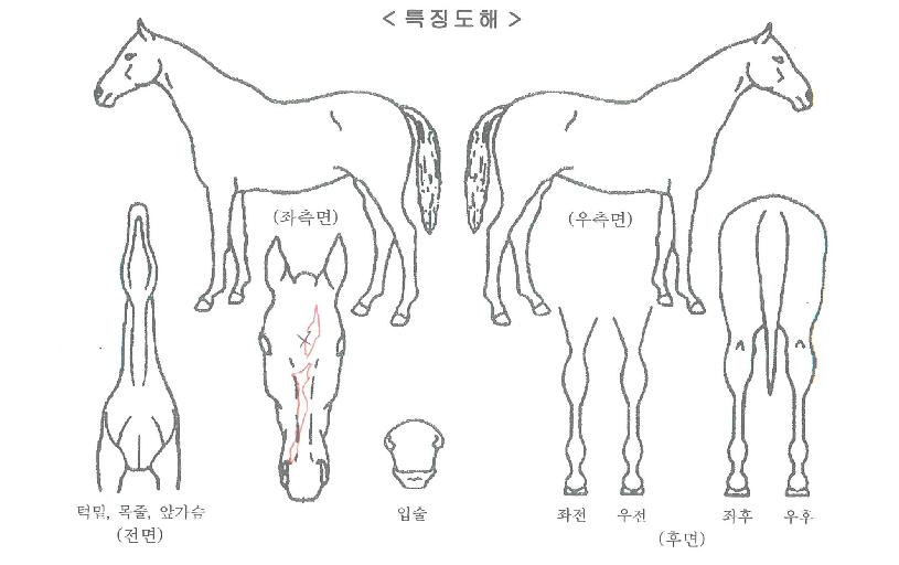 �޴��Ǽ��� ����,���,�޸�,�λ�,�ٸ��� Ư¡����