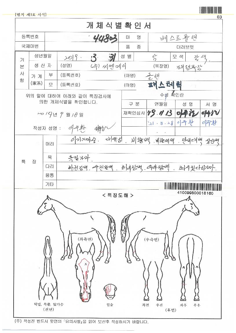 º£½ºÆ®Ç÷£ÀÇ Ãø¸é,¿ì¸é,µÞ¸é,µÎ»ó,´Ù¸®ÀÇ Æ¯Â¡µµÇØ