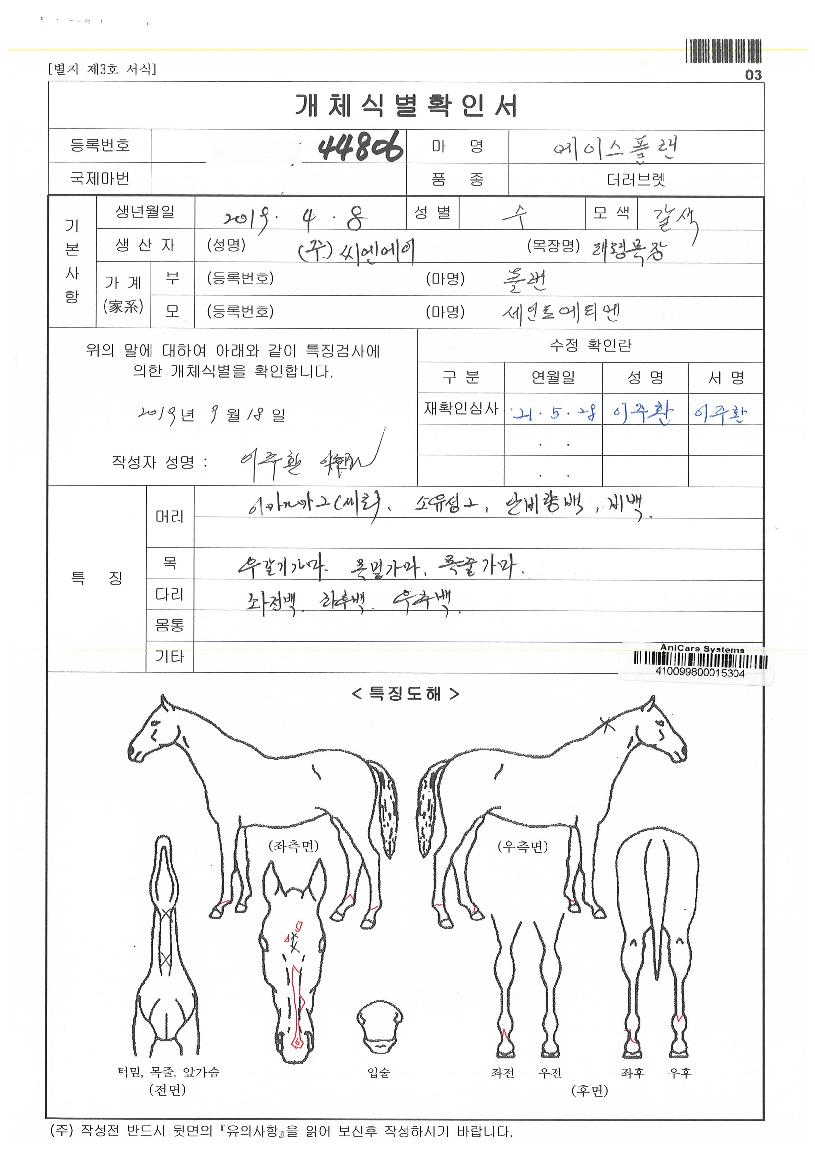 ���̽��÷��� ����,���,�޸�,�λ�,�ٸ��� Ư¡����