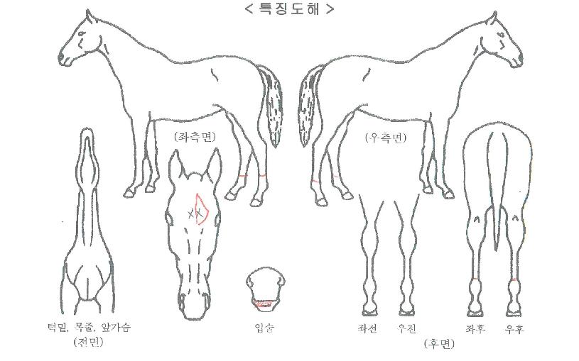 ��Ʋ������ ����,���,�޸�,�λ�,�ٸ��� Ư¡����