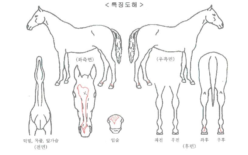 ������ڸ��� ����,���,�޸�,�λ�,�ٸ��� Ư¡����