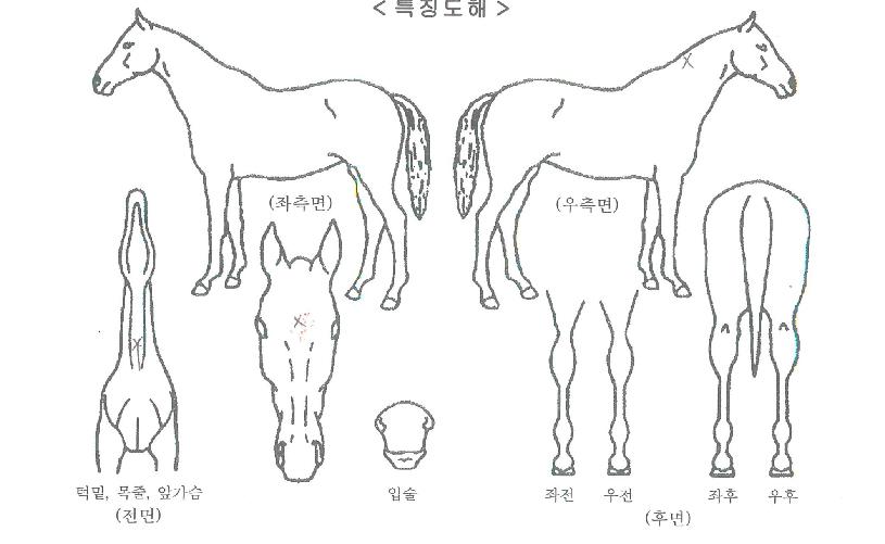 �����̽������� ����,���,�޸�,�λ�,�ٸ��� Ư¡����