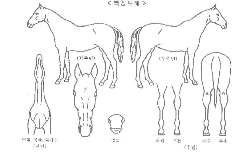 ��������� ����,���,�޸�,�λ�,�ٸ��� Ư¡����