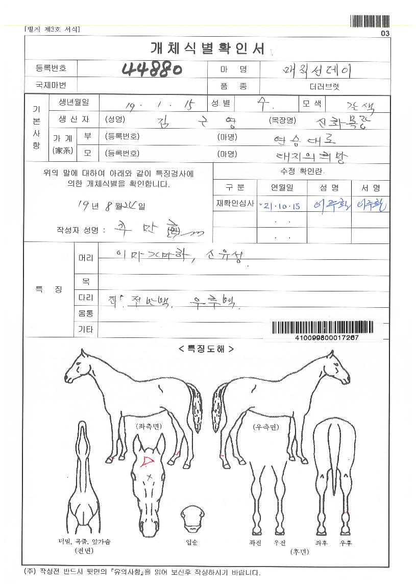 ¸ÅÁ÷¼±µ¥ÀÌÀÇ Ãø¸é,¿ì¸é,µÞ¸é,µÎ»ó,´Ù¸®ÀÇ Æ¯Â¡µµÇØ