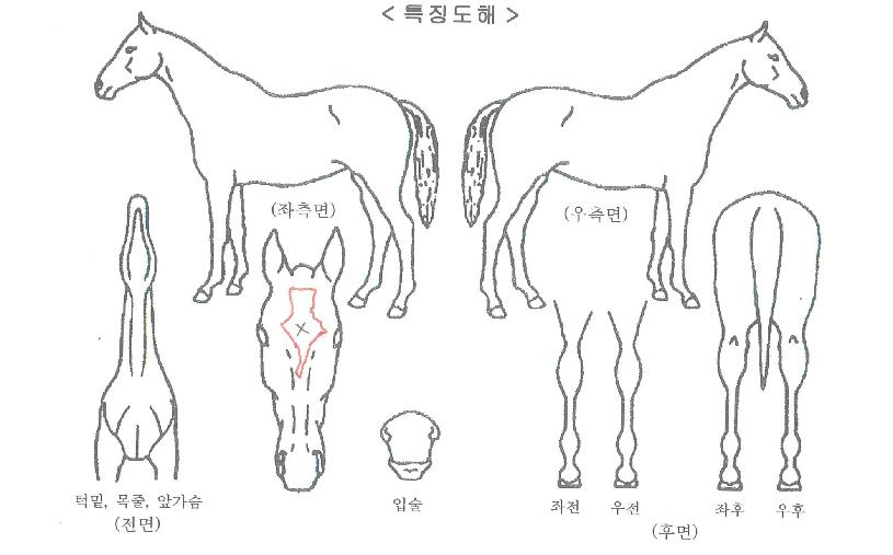 ���Ϸξ������ ����,���,�޸�,�λ�,�ٸ��� Ư¡����