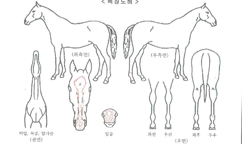 ���������� ����,���,�޸�,�λ�,�ٸ��� Ư¡����