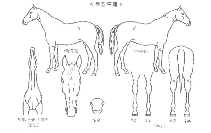 �������Ͽ���� ����,���,�޸�,�λ�,�ٸ��� Ư¡����